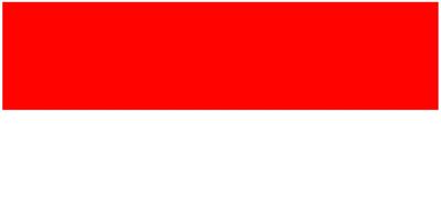 Indonesia flag large 36x72