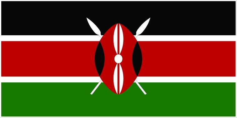 Kenya flag large 36x72