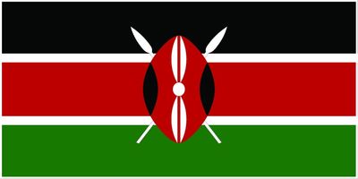 Kenya flag large 36x72