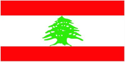 Lebanon flag large 36x72