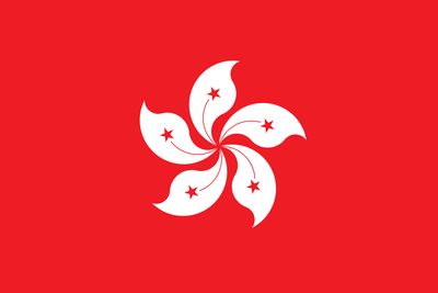 Hong Kong flag large 36x72 S