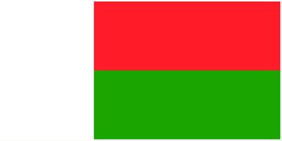 Madagascar flag large 36x72