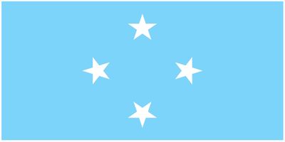 Micronesia flag large 36x72