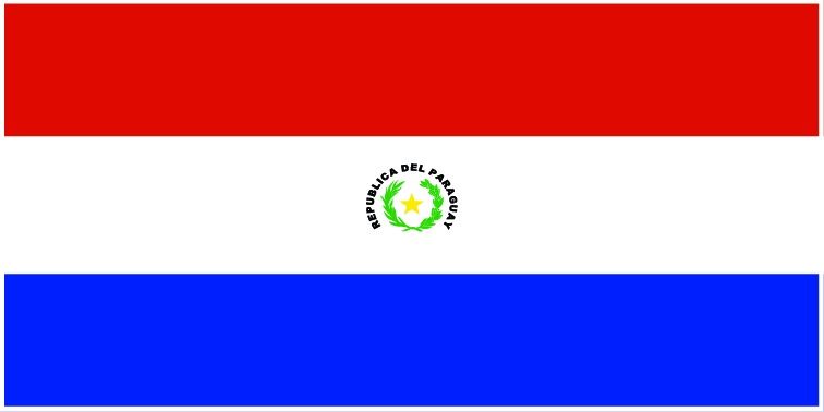 Paraguay flag large 36x72