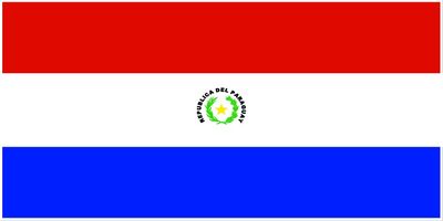 Paraguay flag large 36x72