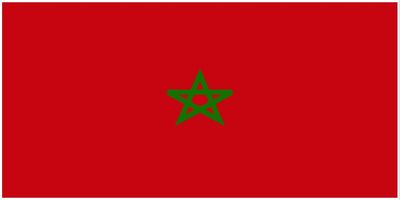 Morocco flag large 36x72 H