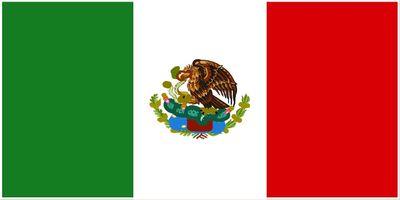 Mexico flag large 36x72 H