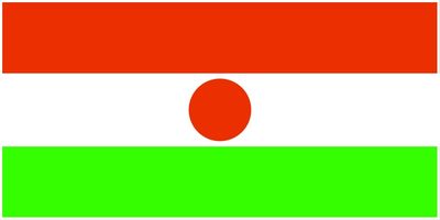 Niger flag large 36x72