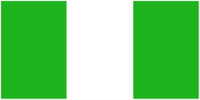 Nigeria flag large 36x72