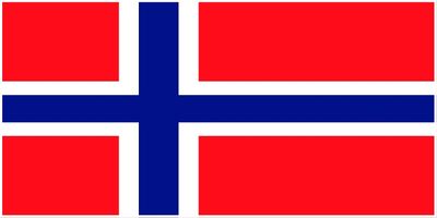 Norway flag large 36x72 S