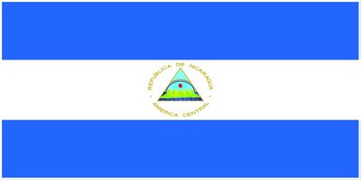 Nicaragua flag large 36x72