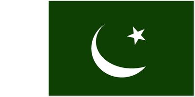 Pakistan flag large 36x72