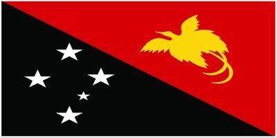 Papua New Guinea flag large 36x72