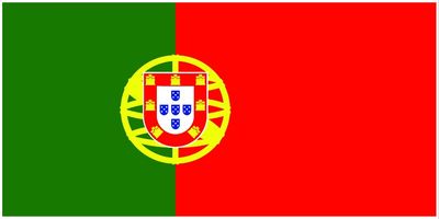 Portugal flag large 36x72 H