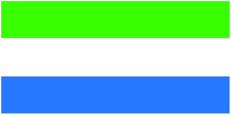 Sierra Leone flag large 36x72