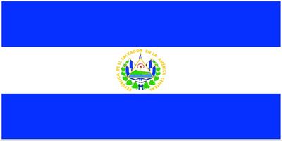 Salvador flag large 36x72 S