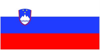 Slovenia flag large 36x72