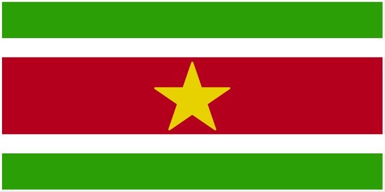 Suriname flag large 36x72
