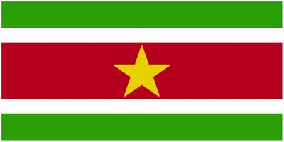 Suriname flag large 36x72
