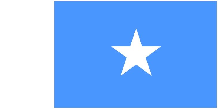 Somalia flag large 36x72