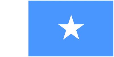 Somalia flag large 36x72
