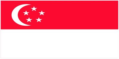 Singapore flag large 36x72
