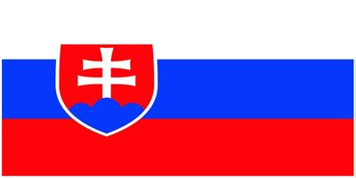 Slovakia flag large 36x72 A