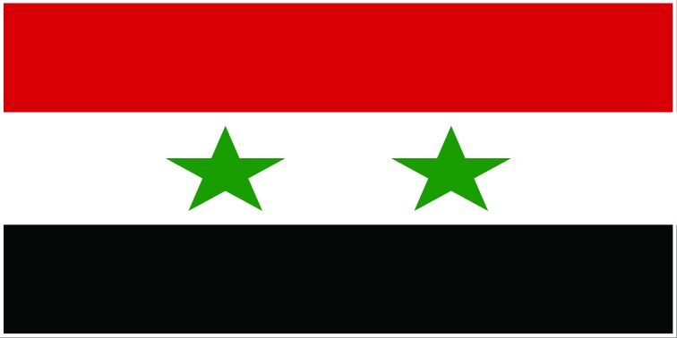 Syria flag large 36x72