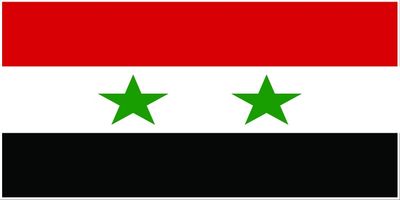Syria flag large 36x72