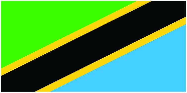 Tanzania flag large 36x72