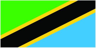 Tanzania flag large 36x72