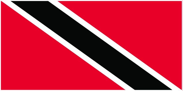 Trinidad and Tobago flag large 36x72 S