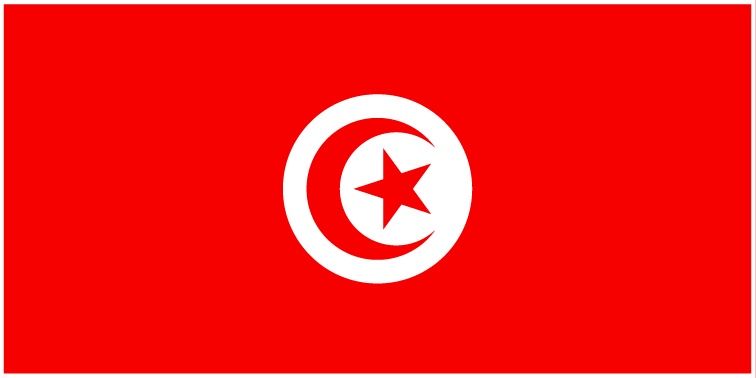 Tunisia flag large 36x72