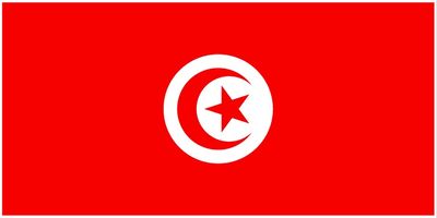 Tunisia flag large 36x72