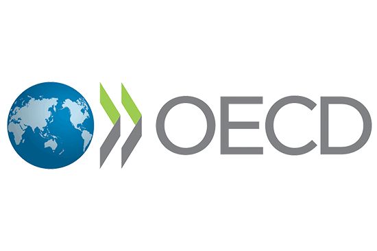 OECD flag large 36x72