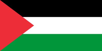 Palestine flag large 36x72