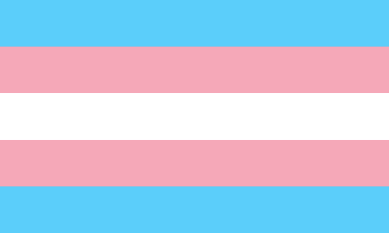 Standard Trans Pride Sticker