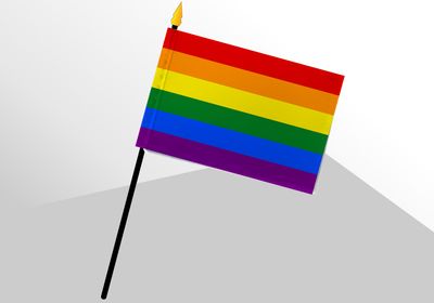 Pride (Rainbow) 4x6