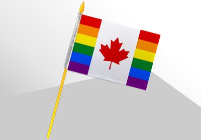 Canada Pride Small Flag 4x6