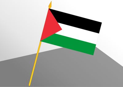 Palestine small economic flag 4x6
