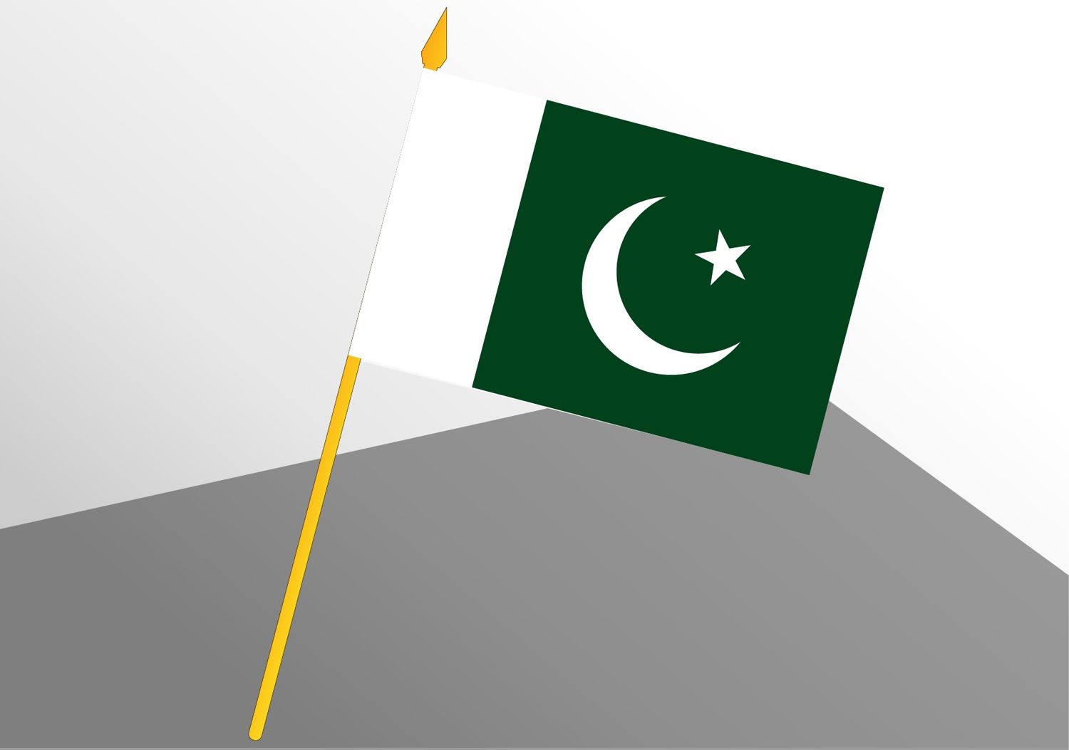 Pakistan petit drapeau économique 4x6