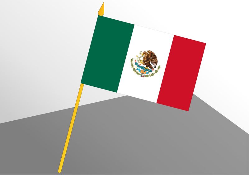 Mexique petit drapeau économique 4x6