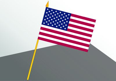 United States small economical flag 4x6