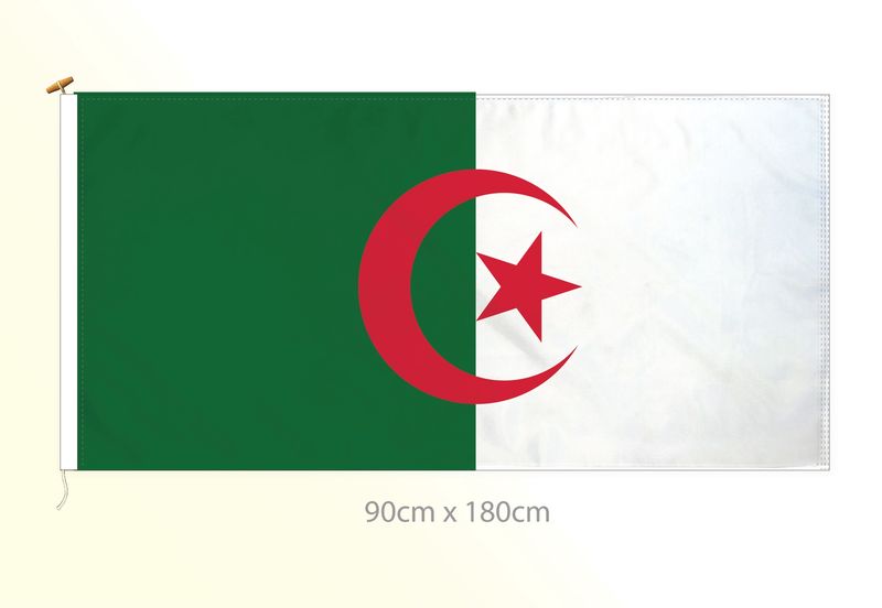 Algeria flag large 36x72