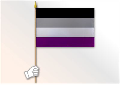 Asexual Pride Flag Medium 12x18