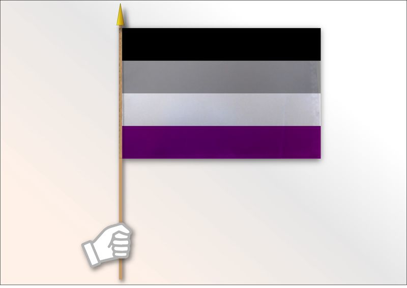 Asexual Pride Flag Medium 12x18