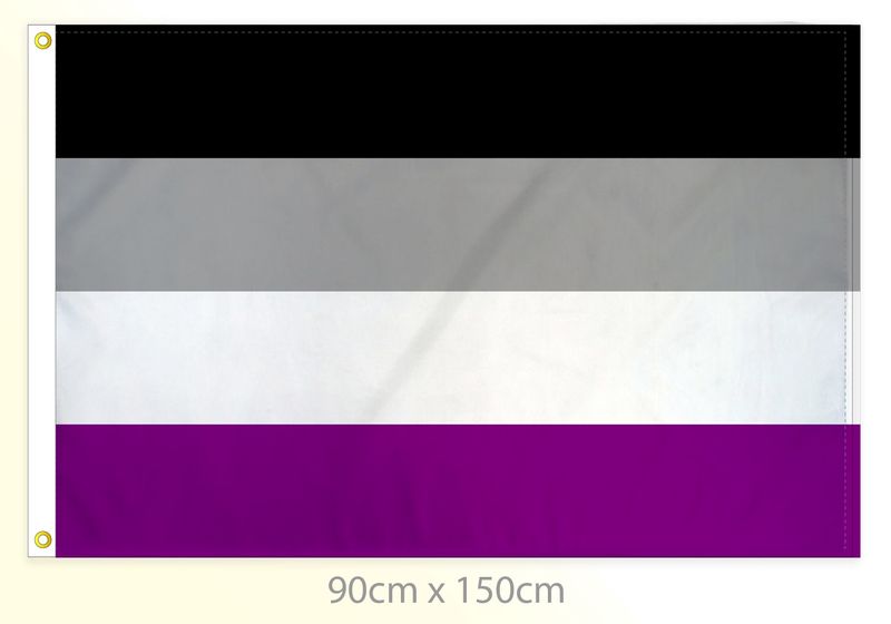Asexual Pride Flag Large 36x60