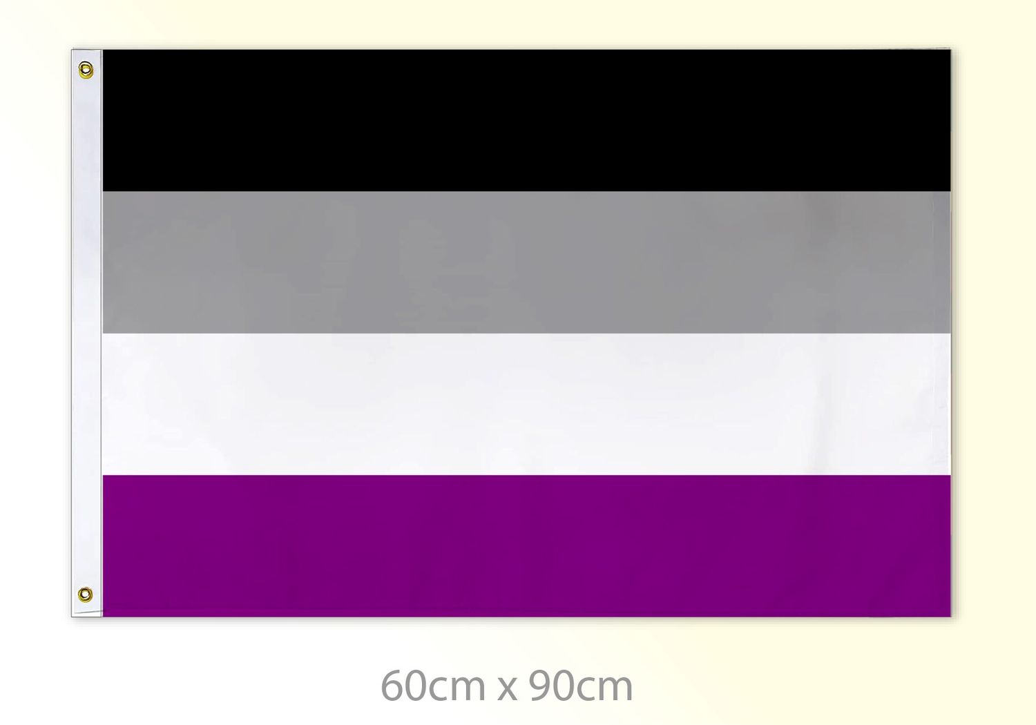 Asexual Pride Medium Flag 24x36