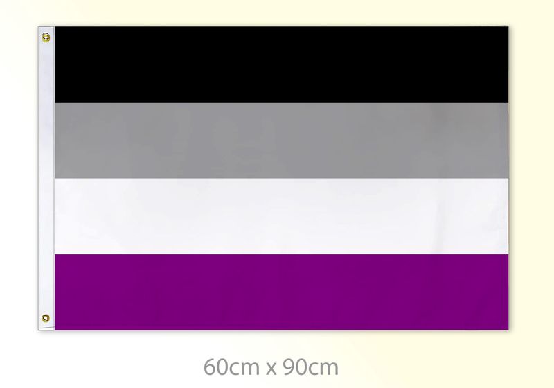 Asexual Pride Medium Flag 24x36