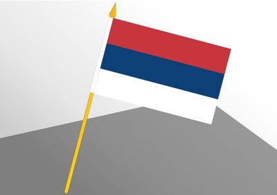 Serbia small economic flag 4x6
